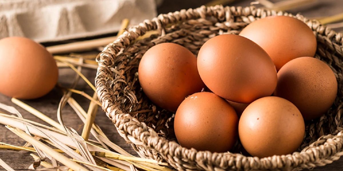 Debunking the Egg Myths – Fact vs Myth on Cholesterol & Egg!