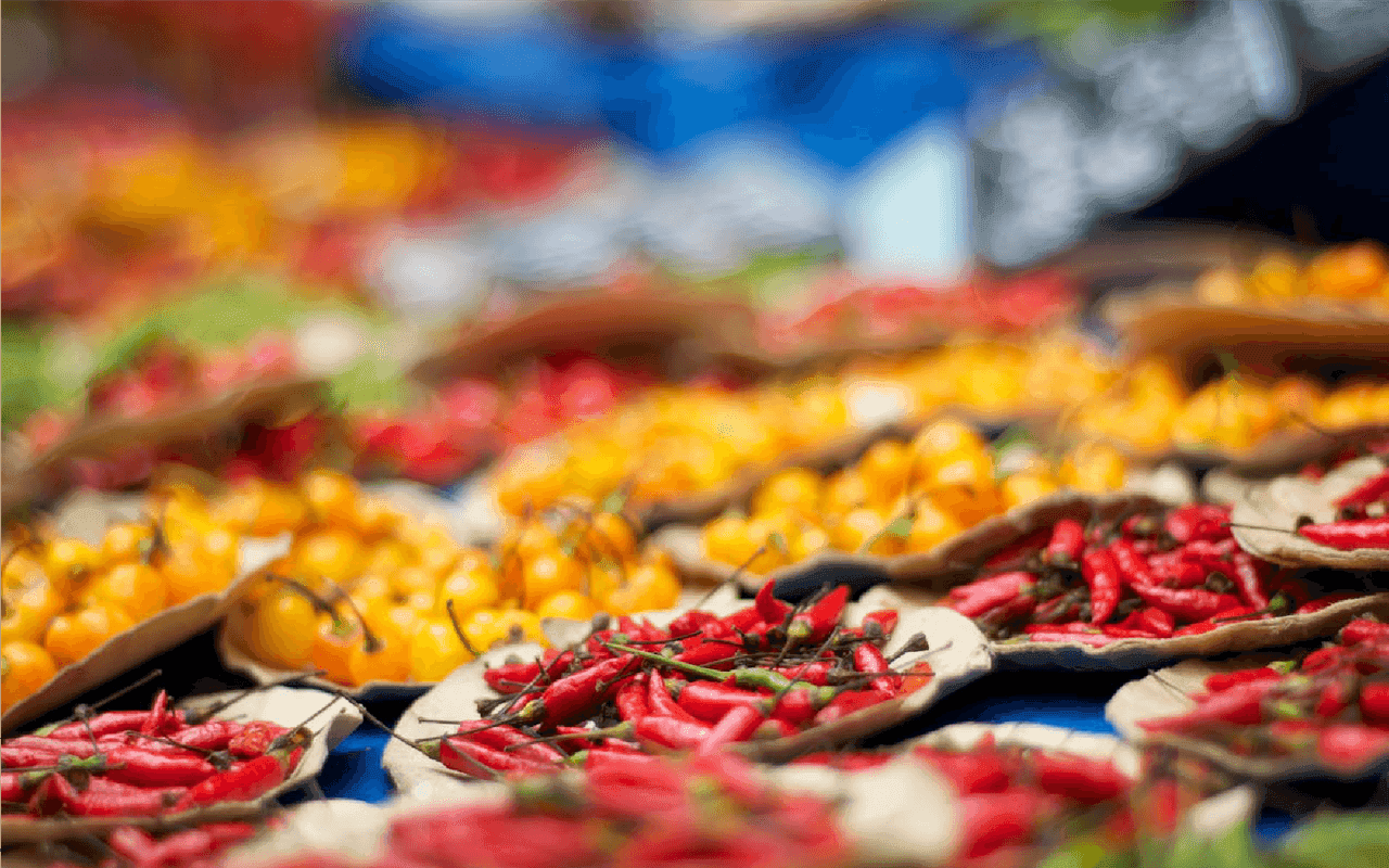 How to Use Local UAE Spices for Healthier Home Cooking in 2025